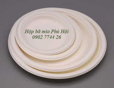 Đĩa bã mía Ø 20.5 x 16mm